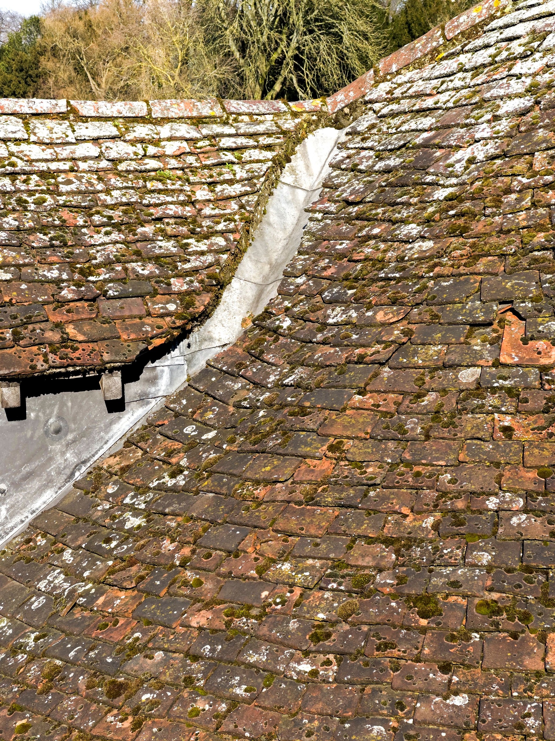 Dilapidated Roof York